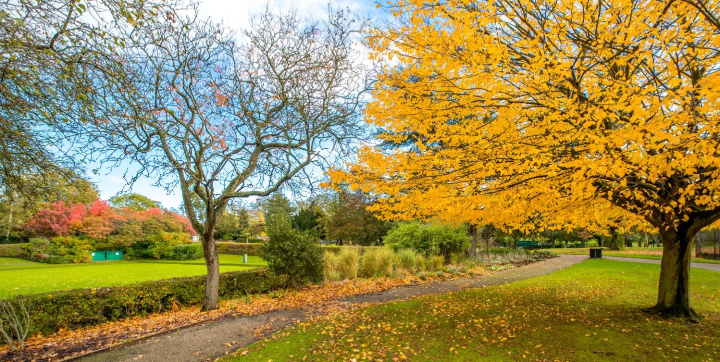 Admirals Park and Tower Gardens Love Your Chelmsford