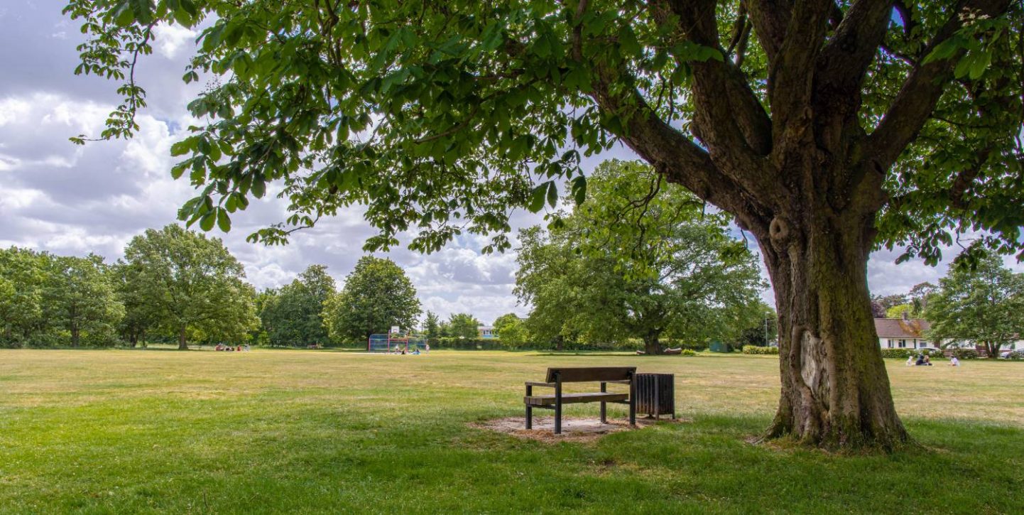 Baddow Hall Park Chelmsford - Love Your Chelmsford