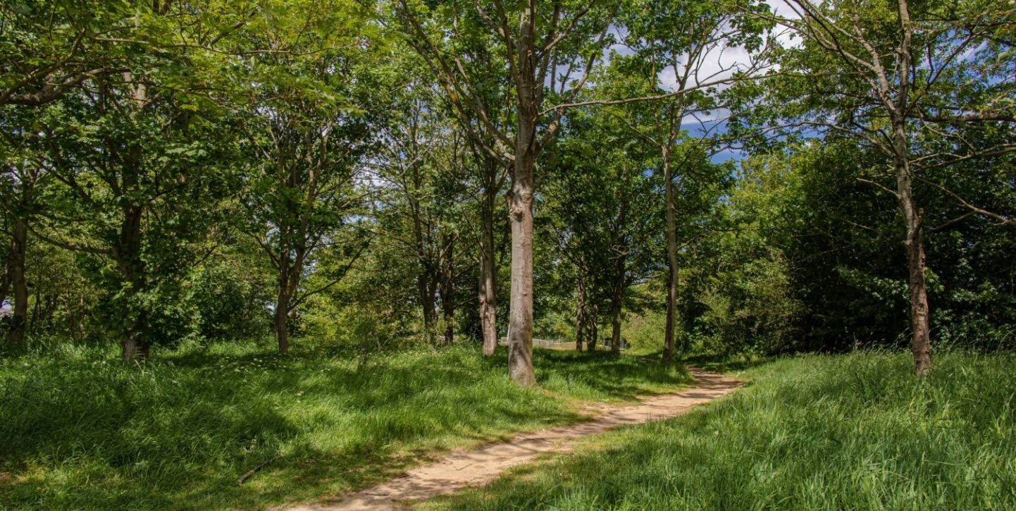 Baddow Hall Park Chelmsford Love Your Chelmsford