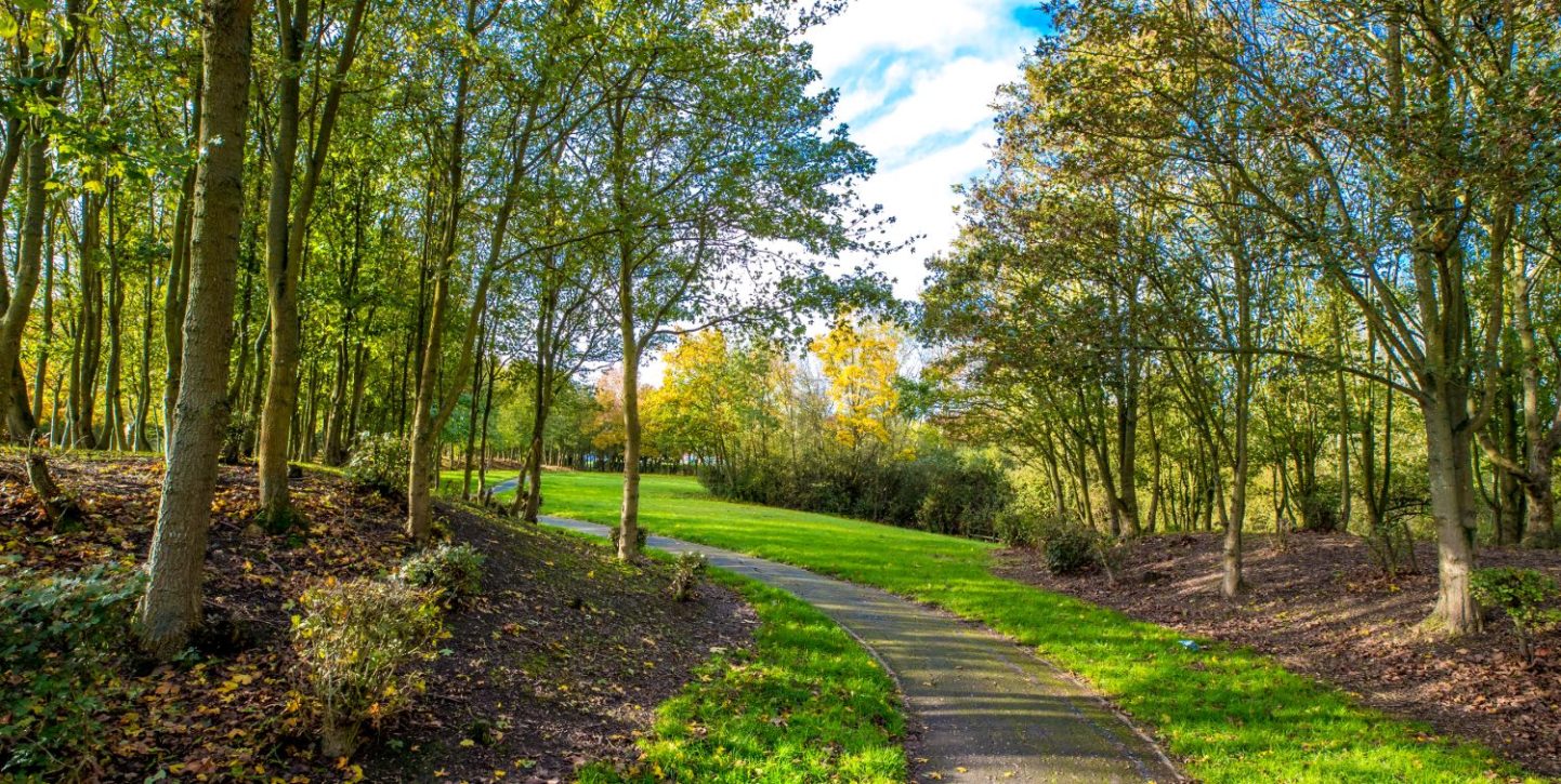 Saltcoats Park and Compass Gardens - Love Your Chelmsford