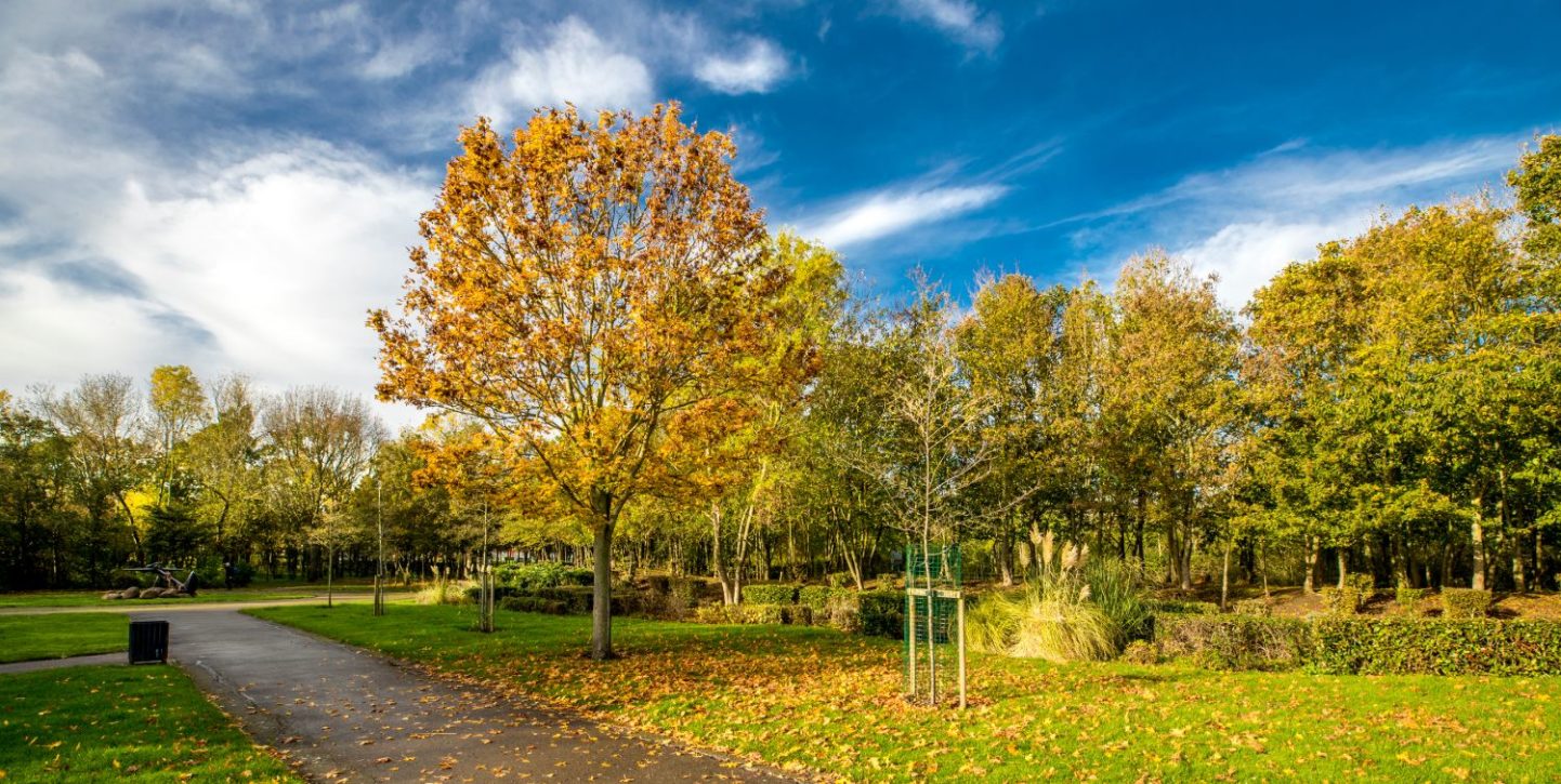 Saltcoats Park and Compass Gardens Love Your Chelmsford