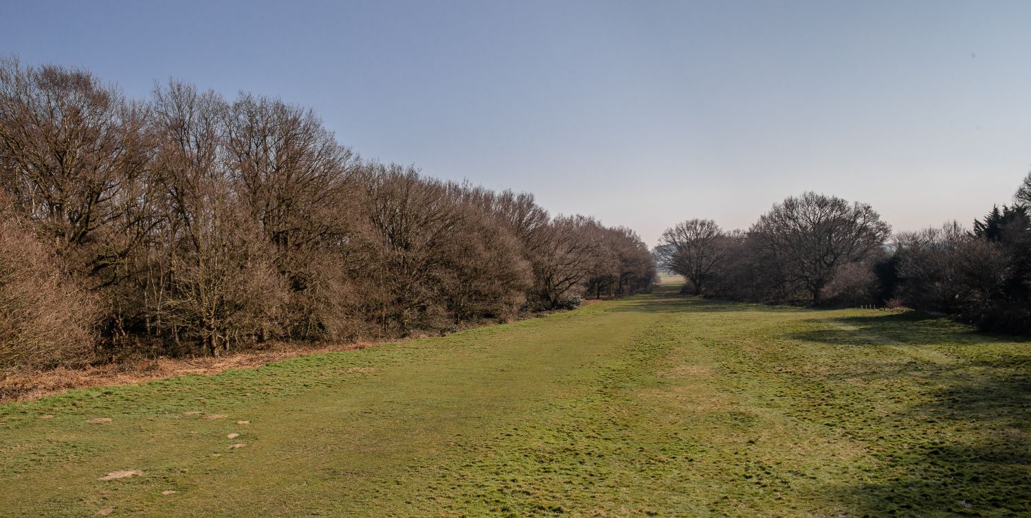 Galleywood Common Chelmsford Love Your Chelmsford galleywood-common-chelmsford-love-your-chelmsford
