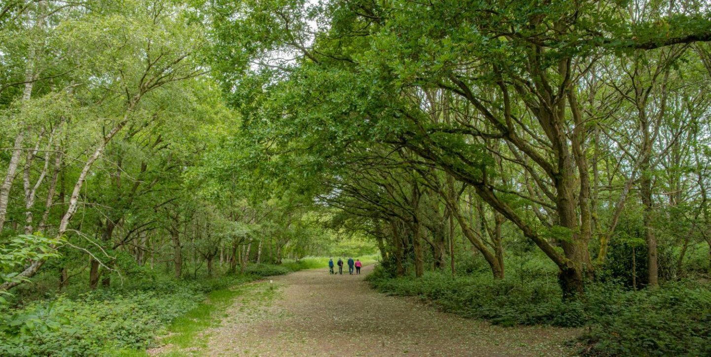 Galleywood Common Chelmsford Love Your Chelmsford