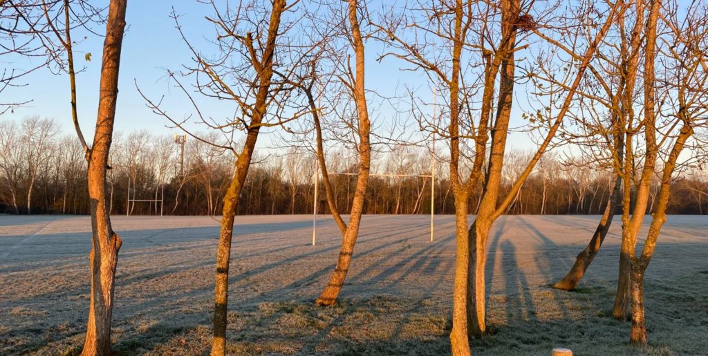 Saltcoats Park and Compass Gardens Love Your Chelmsford