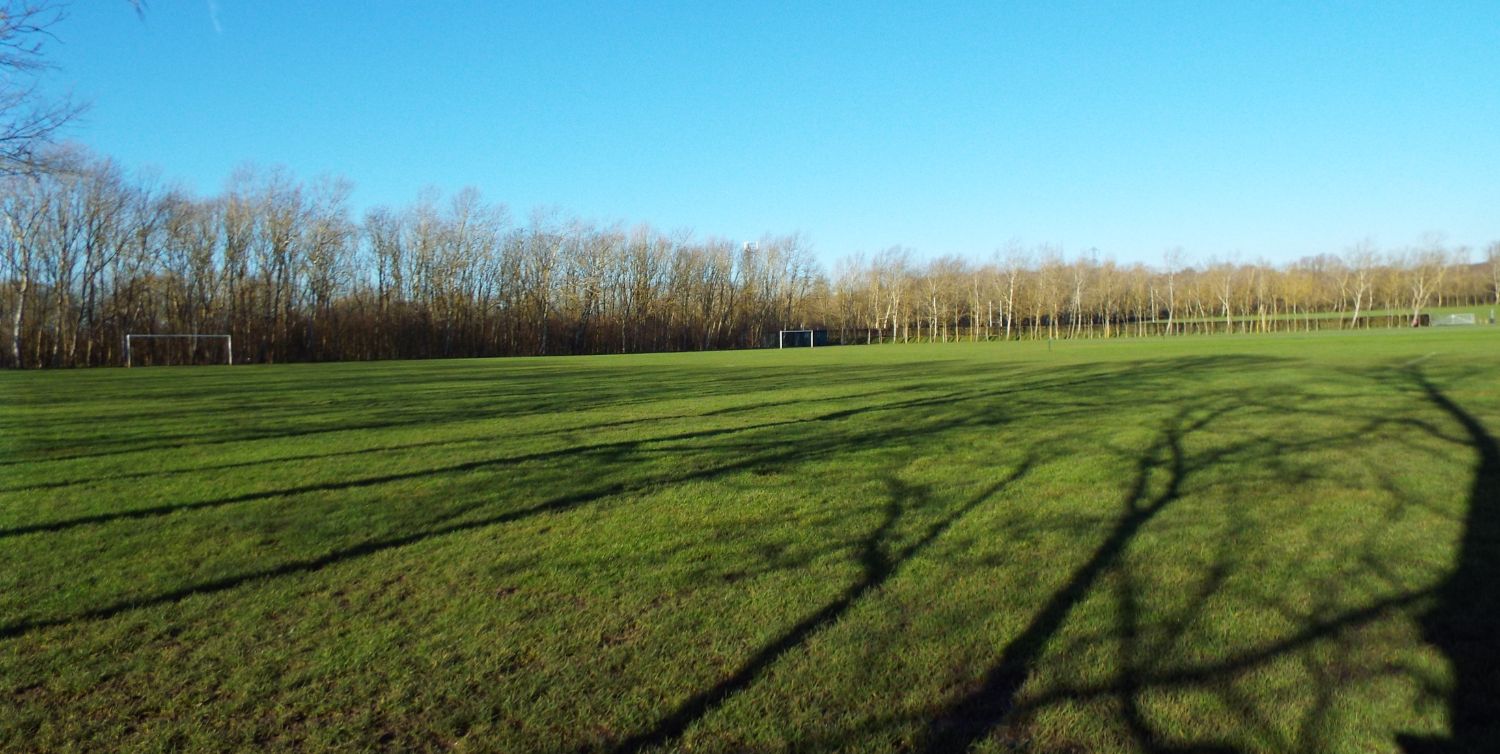 Saltcoats Park and Compass Gardens Love Your Chelmsford