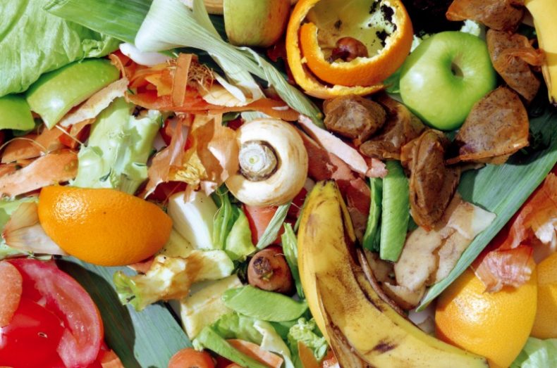 recyclable food waste