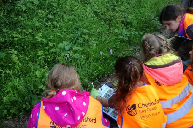 schools and colleges vols