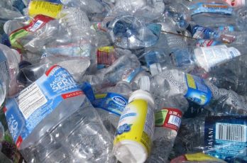 reduce plastic chelmsford