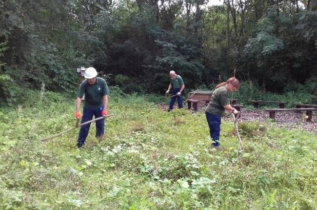 volunteers in meadow