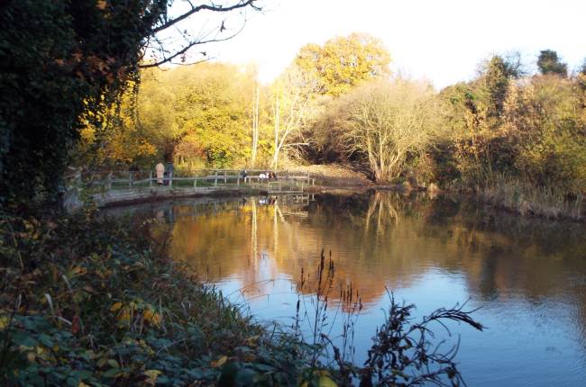 marconi ponds lnr