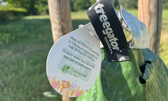 Adopt a tree to water tag
