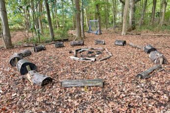 Woodland Wanderers - hylands park - forest school