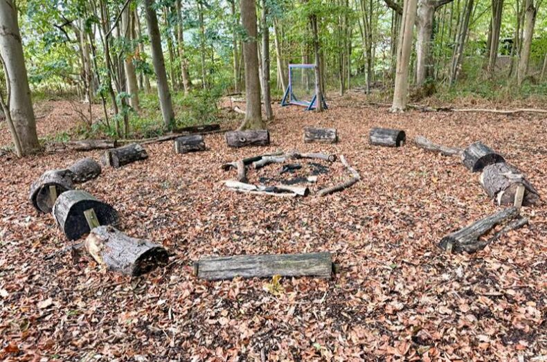 Woodland Wanderers - hylands park - forest school