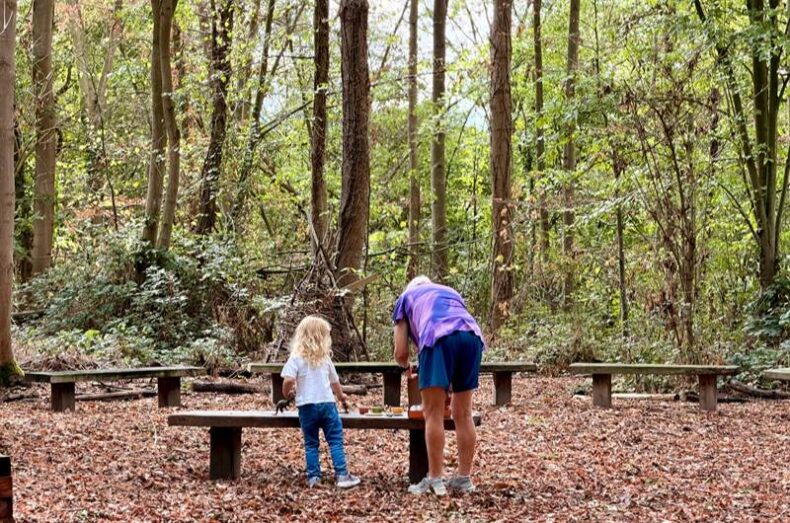 Woodland Wanderers - hylands park - forest school